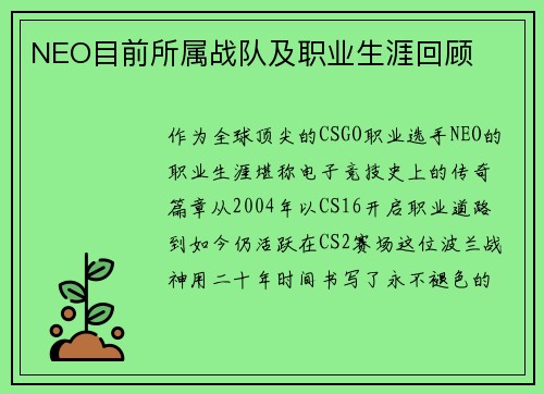 NEO目前所属战队及职业生涯回顾
